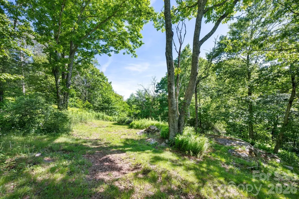 58 Randall Drive Fairview NC 28730