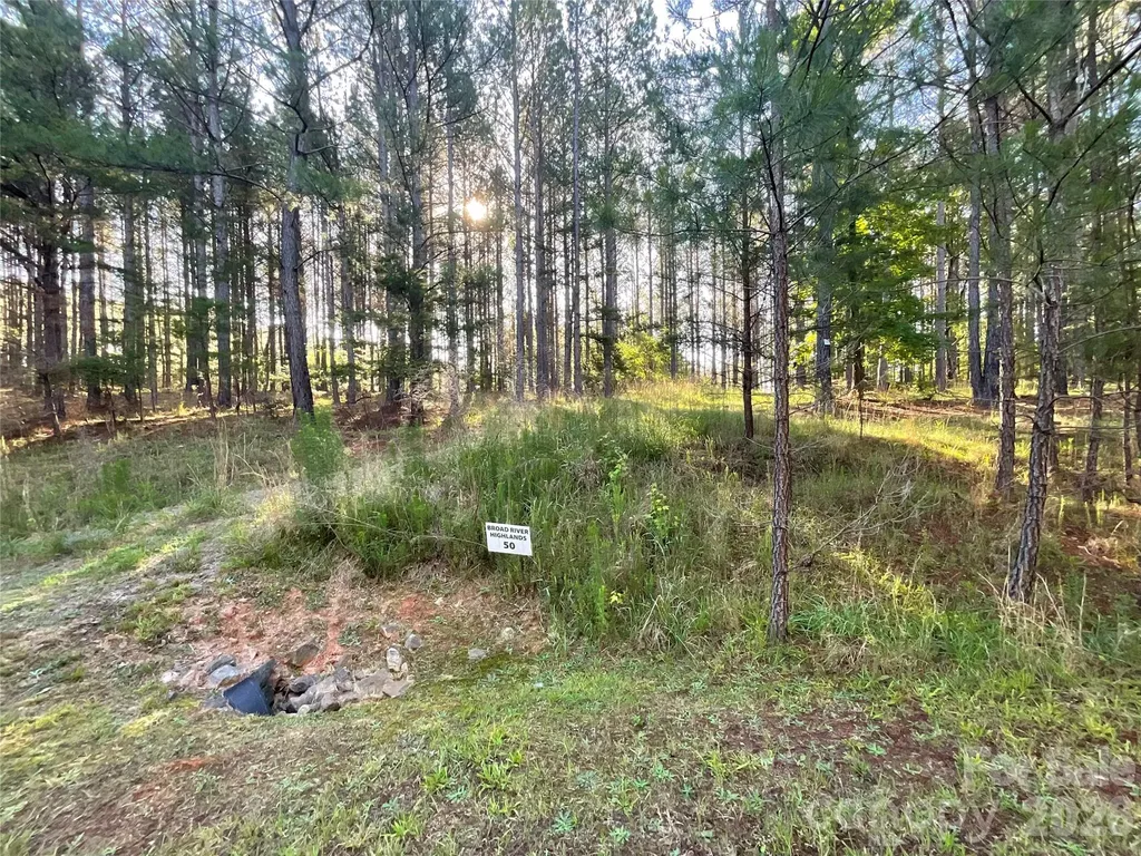 105 Whispering Pines Lane Mooresboro NC 28114