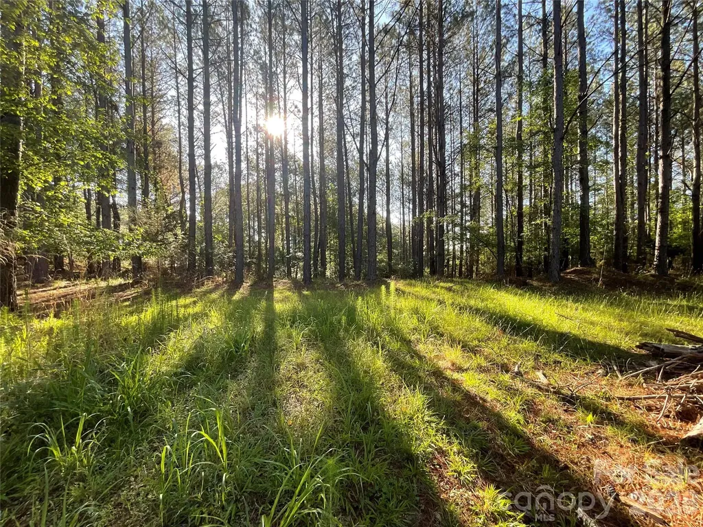 105 Whispering Pines Lane Mooresboro NC 28114