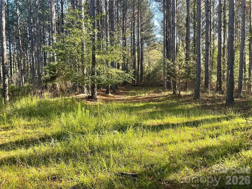 105 Whispering Pines Lane Mooresboro NC 28114