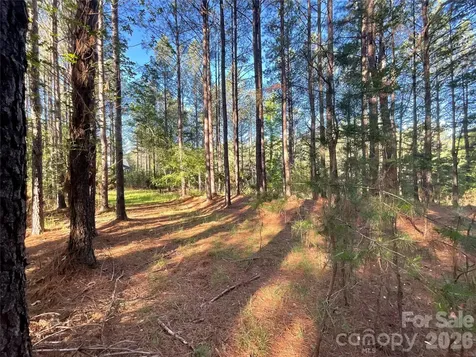 105 Whispering Pines Lane Mooresboro NC 28114