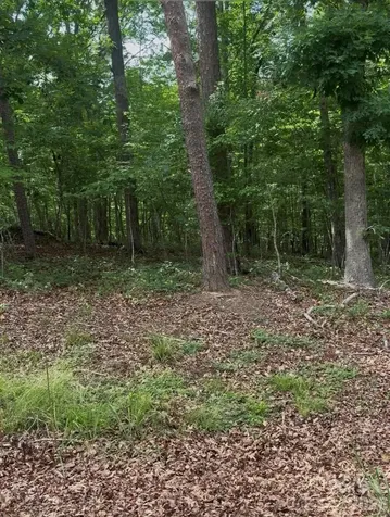 000 Acorn Acres Road Norwood NC 28128