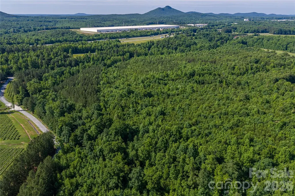 0 Goins Farm Road Bessemer City NC 28016
