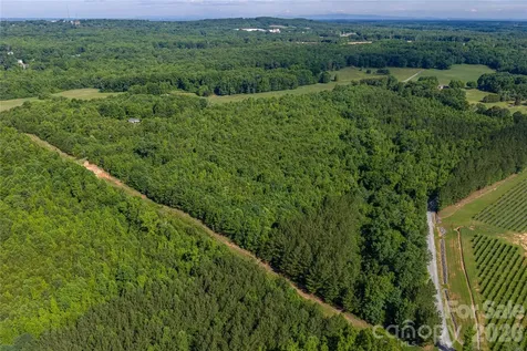 0 Goins Farm Road Bessemer City NC 28016