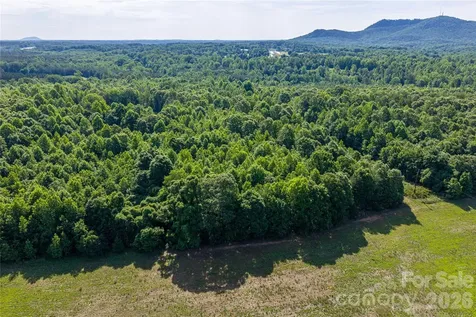 0 Goins Farm Road Bessemer City NC 28016