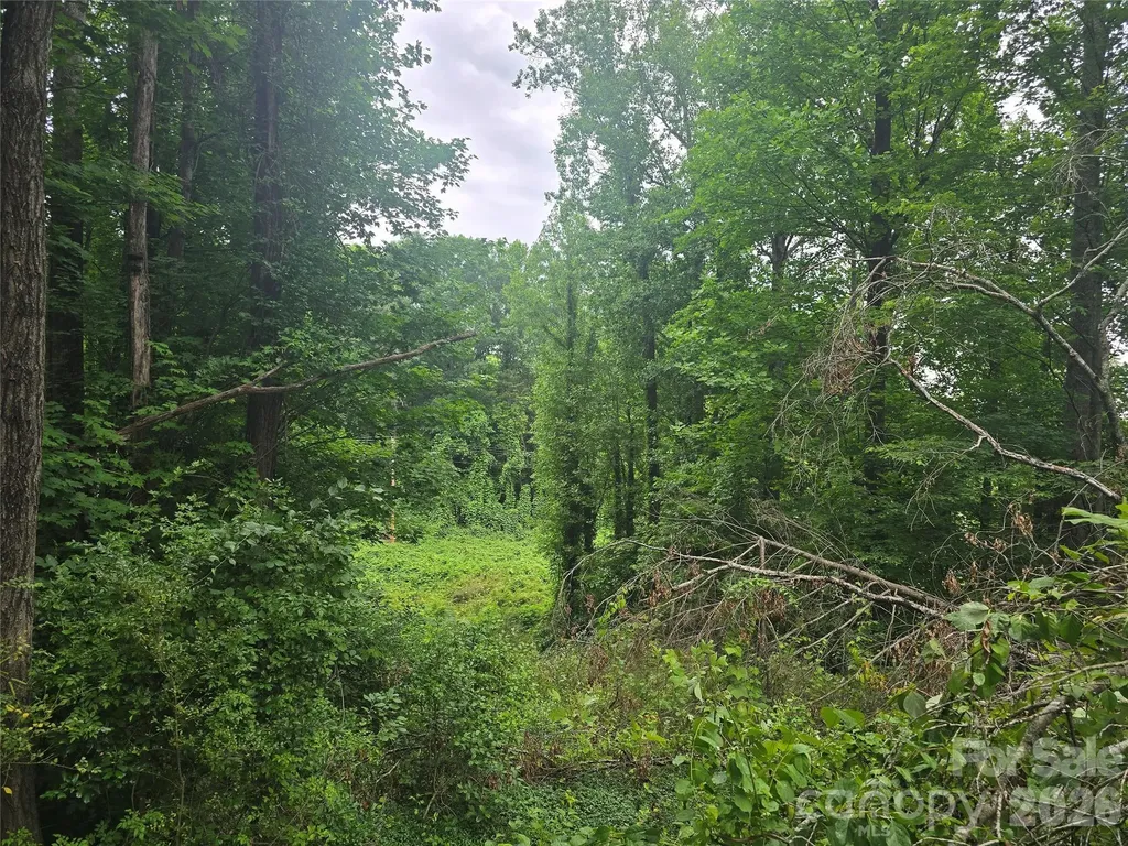 9999 Us 221 Business Extension N Marion NC 28752