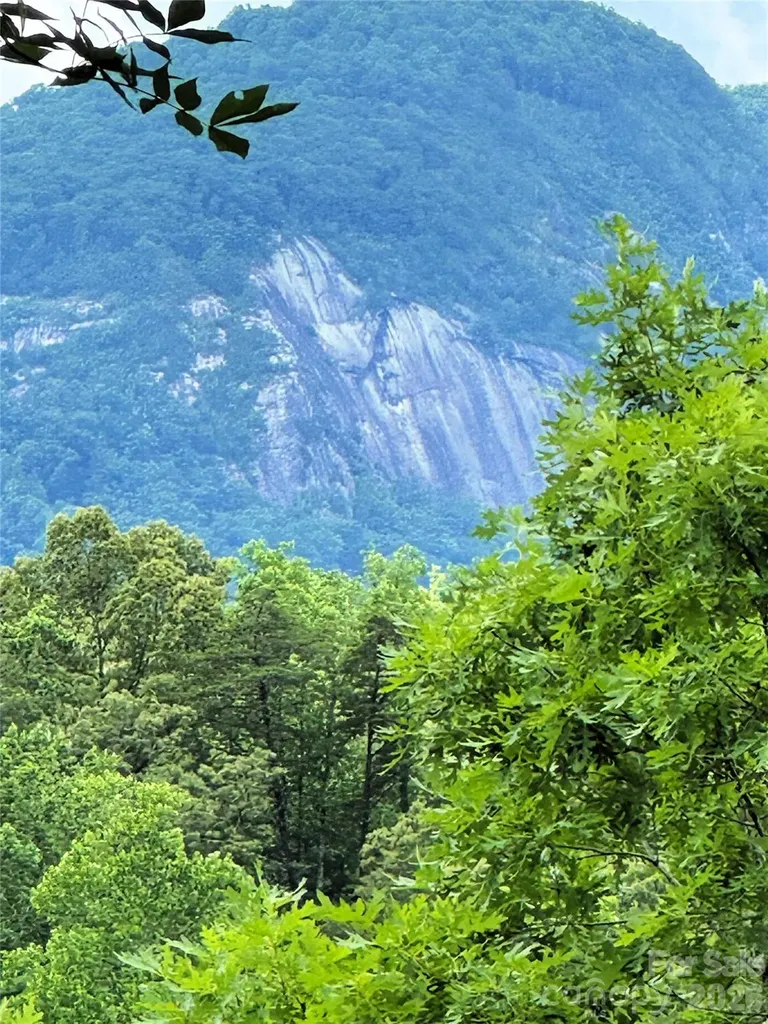 00 Herman Wilson Road Lake Lure NC 28746