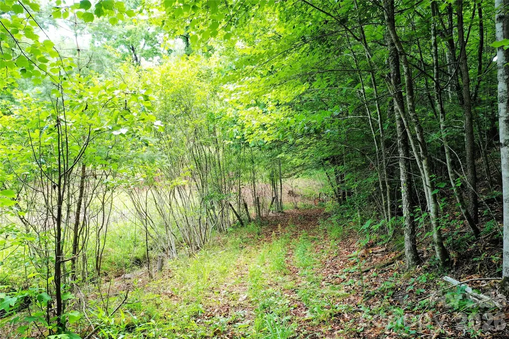 00 Herman Wilson Road Lake Lure NC 28746
