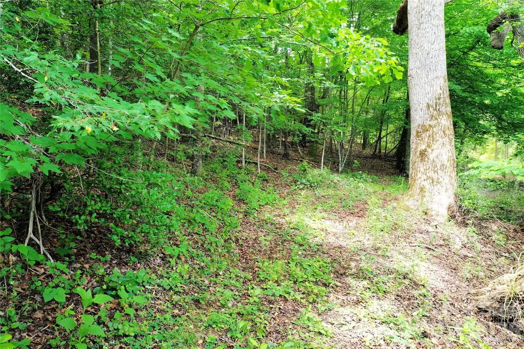 00 Herman Wilson Road Lake Lure NC 28746