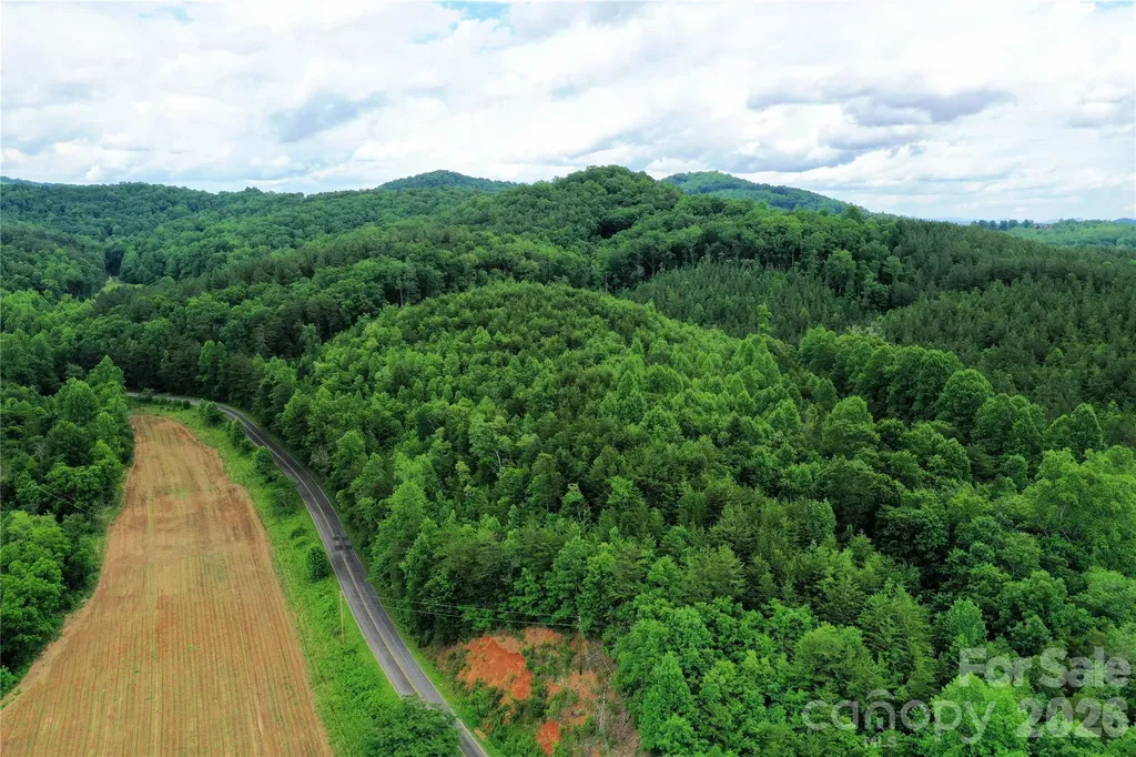 00 Herman Wilson Road Lake Lure NC 28746