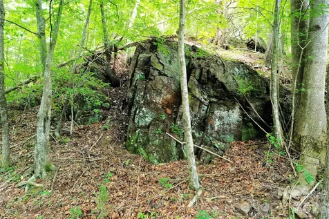 00 Herman Wilson Road Lake Lure NC 28746