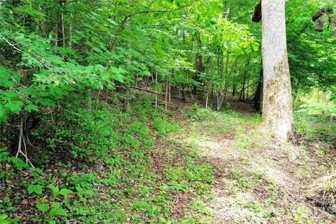 00 Herman Wilson Road Lake Lure NC 28746