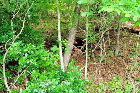 00 Herman Wilson Road Lake Lure NC 28746