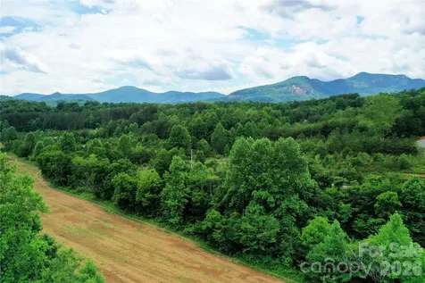 00 Herman Wilson Road Lake Lure NC 28746