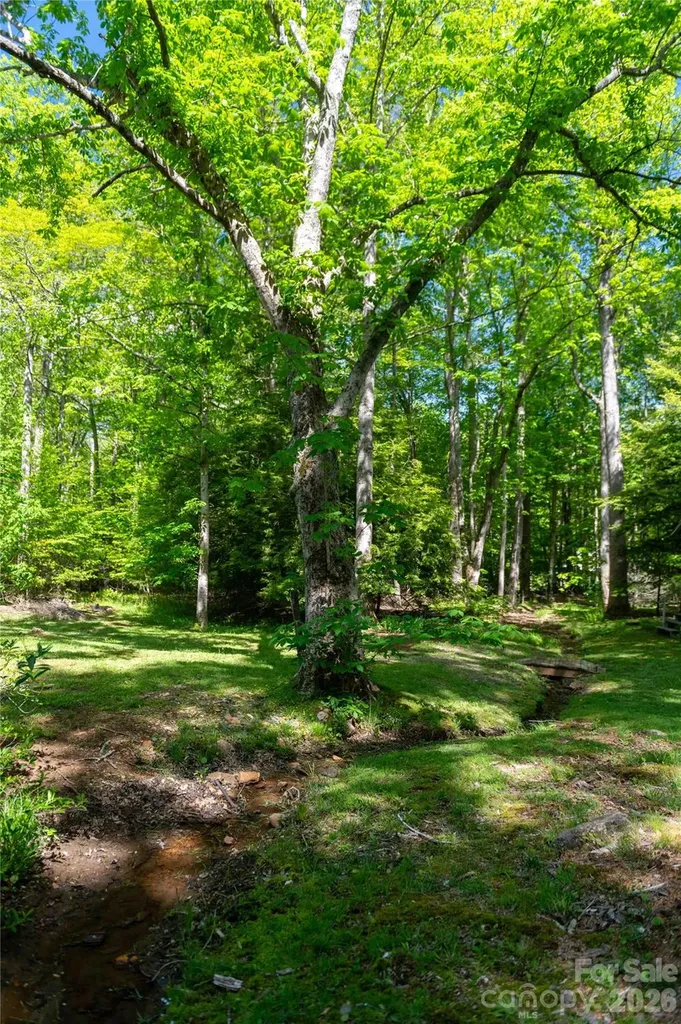 60 Virgels Mountain Road Burnsville NC 28714