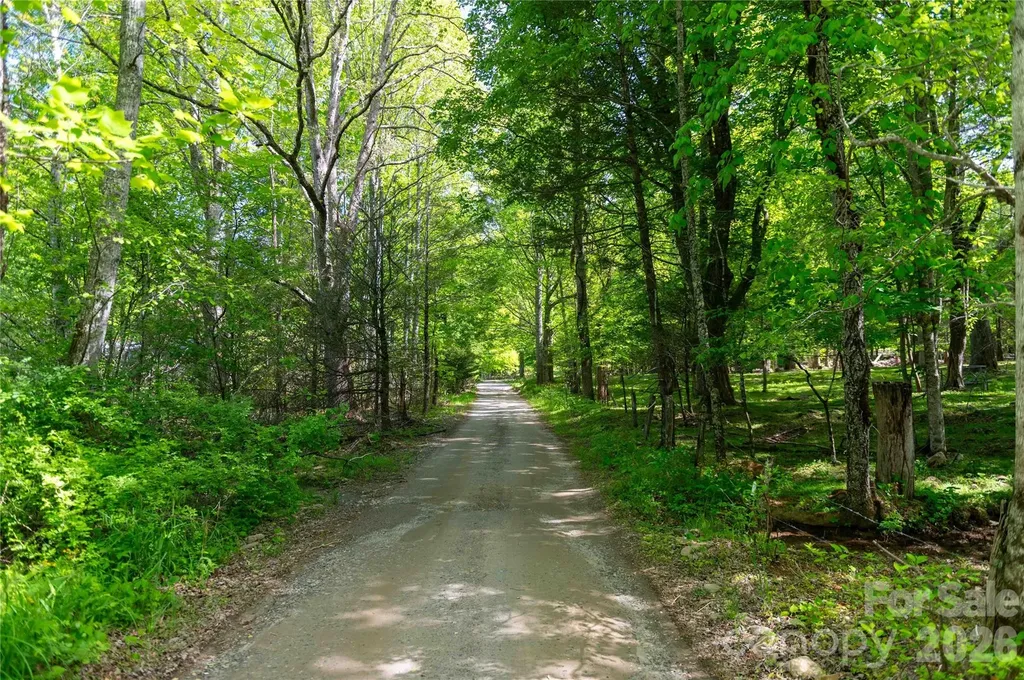 60 Virgels Mountain Road Burnsville NC 28714