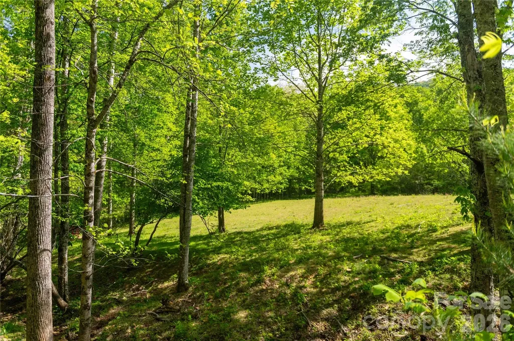 60 Virgels Mountain Road Burnsville NC 28714