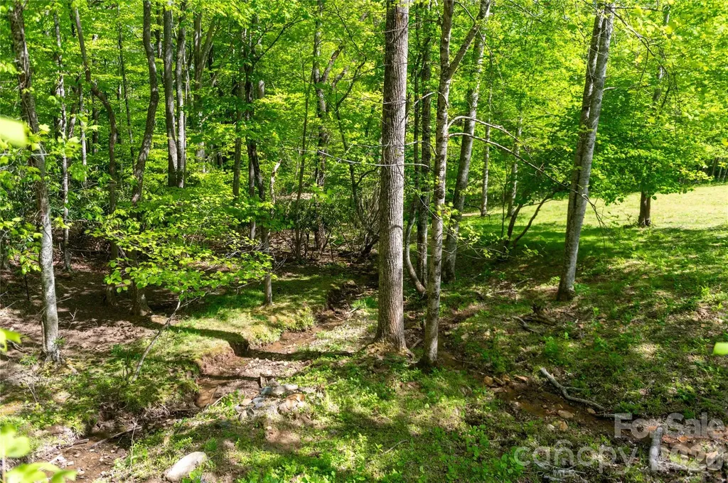 60 Virgels Mountain Road Burnsville NC 28714