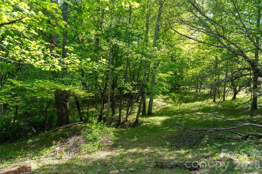 60 Virgels Mountain Road Burnsville NC 28714