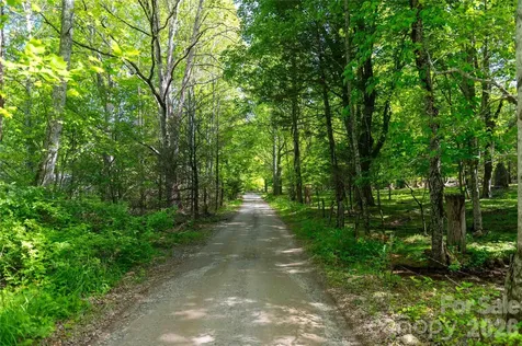 60 Virgels Mountain Road Burnsville NC 28714