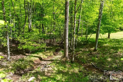 60 Virgels Mountain Road Burnsville NC 28714