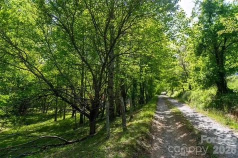 60 Virgels Mountain Road Burnsville NC 28714