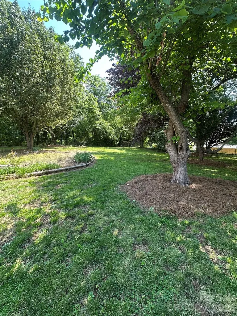 1407 N College Avenue Newton NC 28658