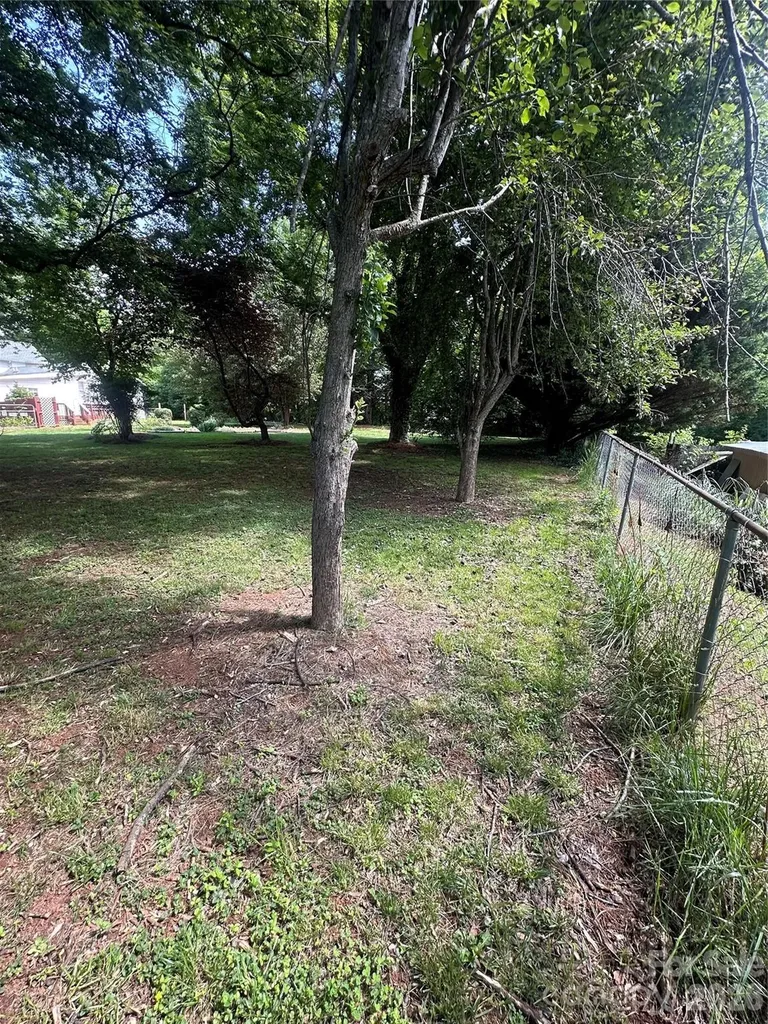 1407 N College Avenue Newton NC 28658