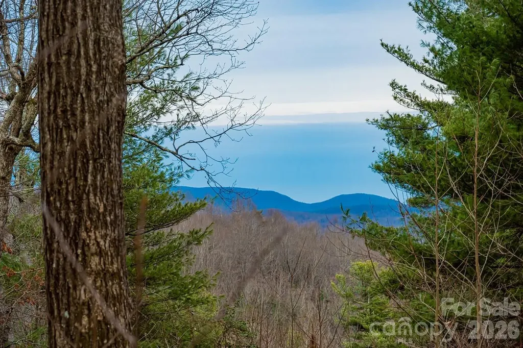 000 Hollybrook Drive Flat Rock NC 28731
