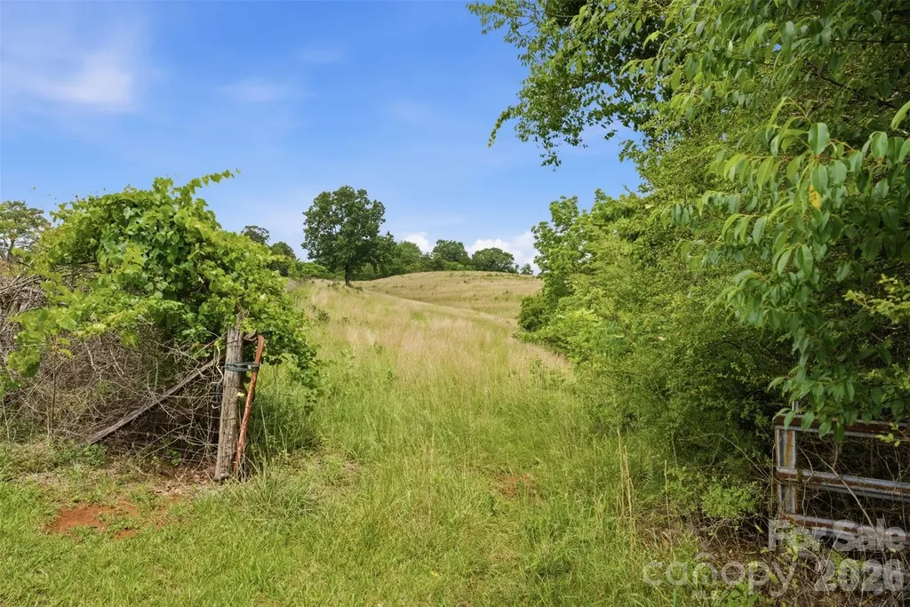 536 Pea Ridge Road Mill Spring NC 28756