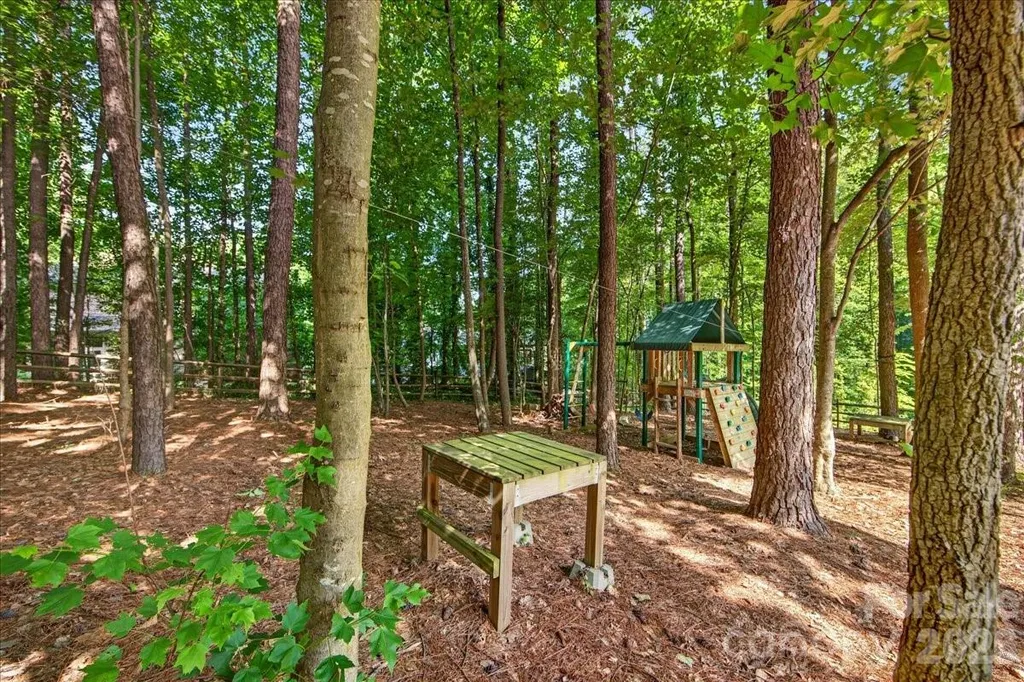 12023 Overlook Mountain Drive Charlotte NC 28216