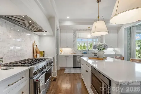 11113 Benjamin Smith Avenue Huntersville NC 28078