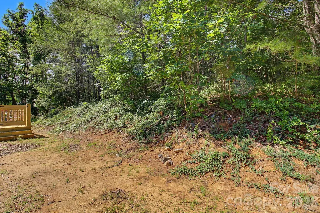 175 Pine Cove Lane Alexander NC 28701