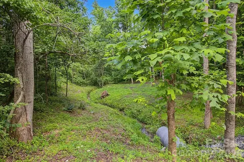 175 Pine Cove Lane Alexander NC 28701