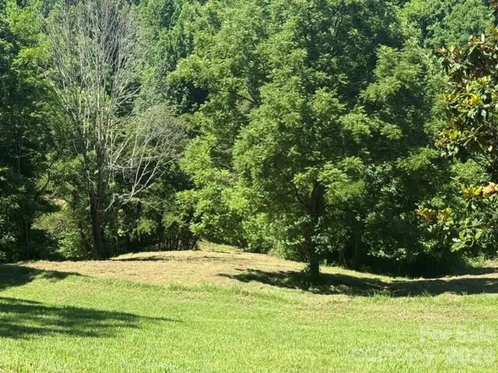 70 Heslar Way Marshall NC 28753