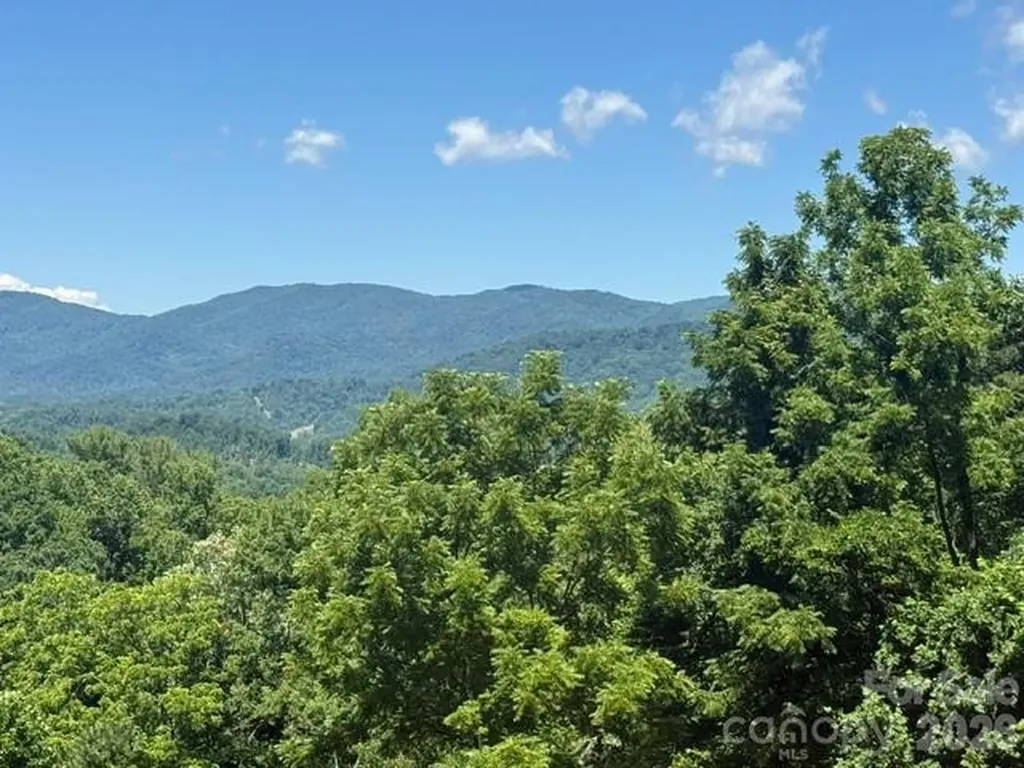 70 Heslar Way Marshall NC 28753