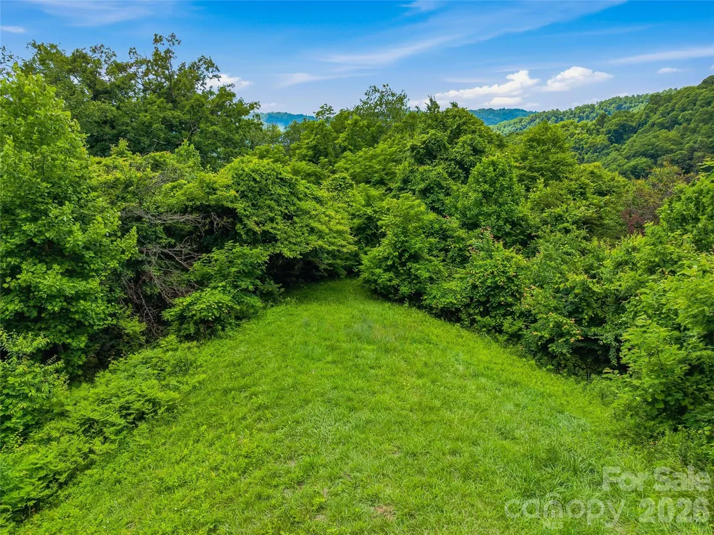 1877 Wilson Cove Road Canton NC 28716