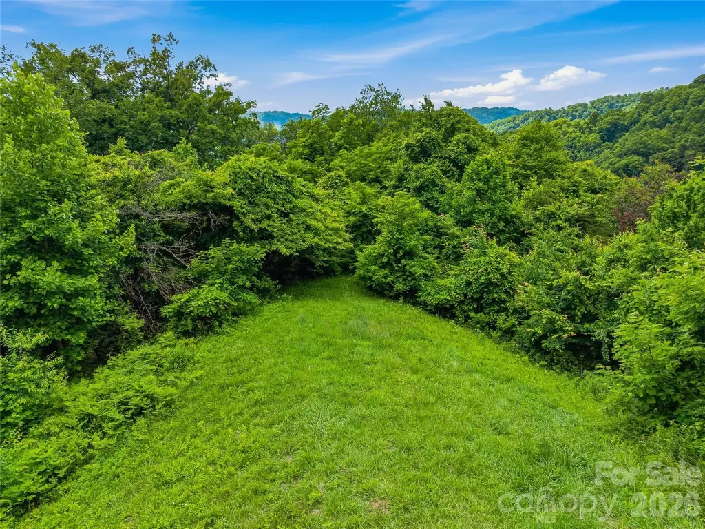 1877 Wilson Cove Road Canton NC 28716