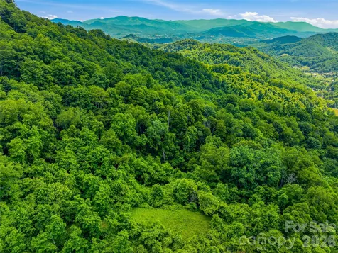 1877 Wilson Cove Road Canton NC 28716