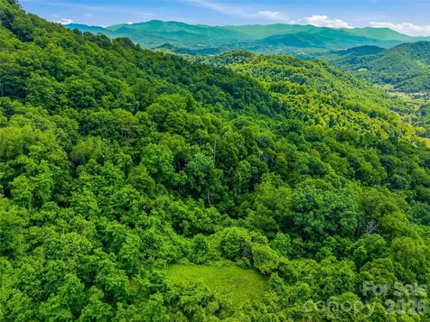 1877 Wilson Cove Road Canton NC 28716
