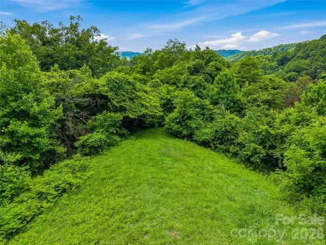 1877 Wilson Cove Road Canton NC 28716