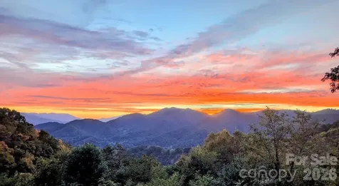 1877 Wilson Cove Road Canton NC 28716
