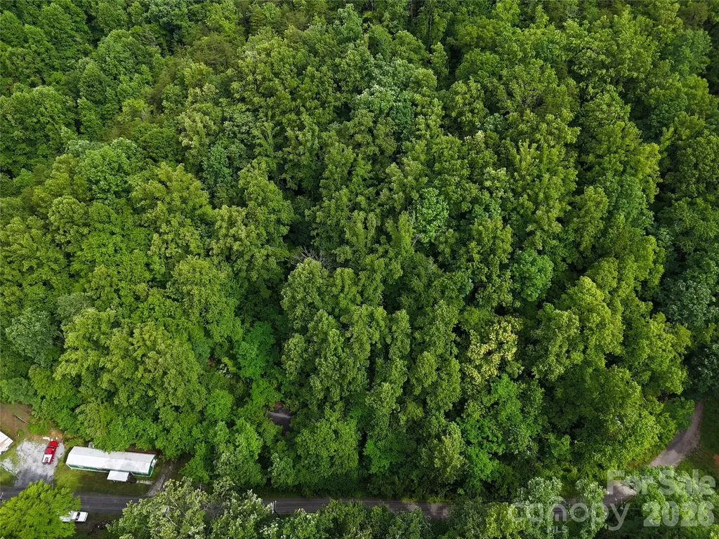 137 Shanty Town Road Old Fort NC 28762