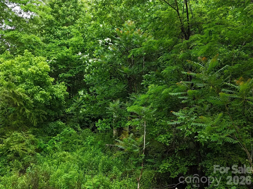 137 Shanty Town Road Old Fort NC 28762