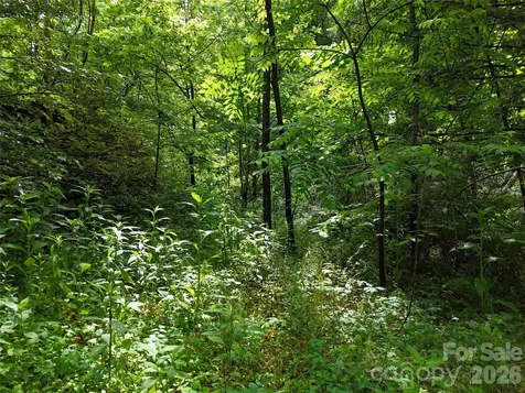 137 Shanty Town Road Old Fort NC 28762