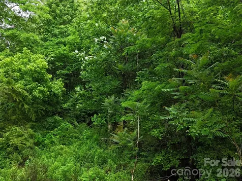 137 Shanty Town Road Old Fort NC 28762