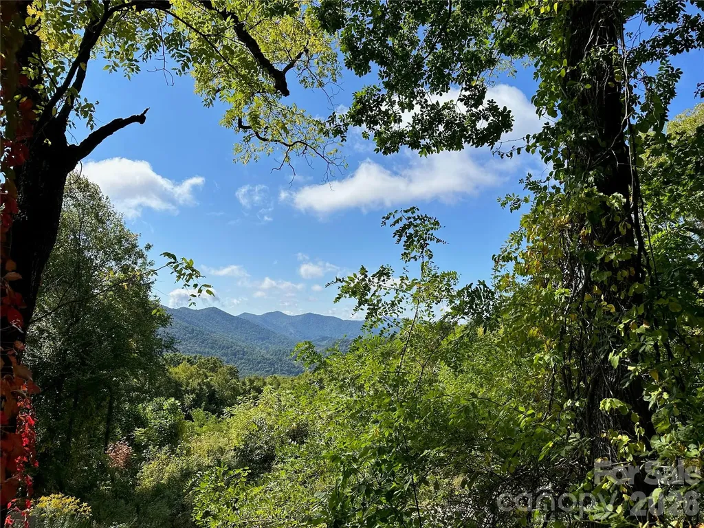 00 High Rock View Drive Canton NC 28716