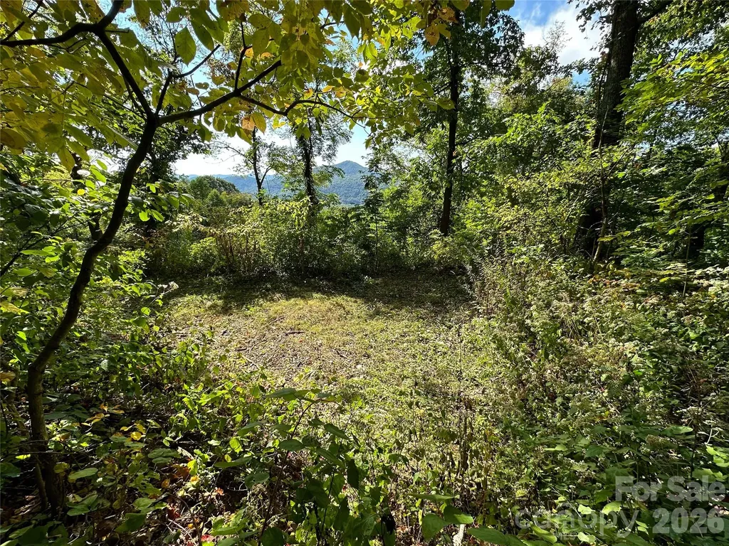 00 High Rock View Drive Canton NC 28716