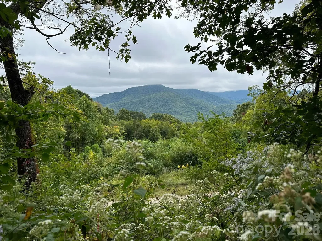 00 High Rock View Drive Canton NC 28716