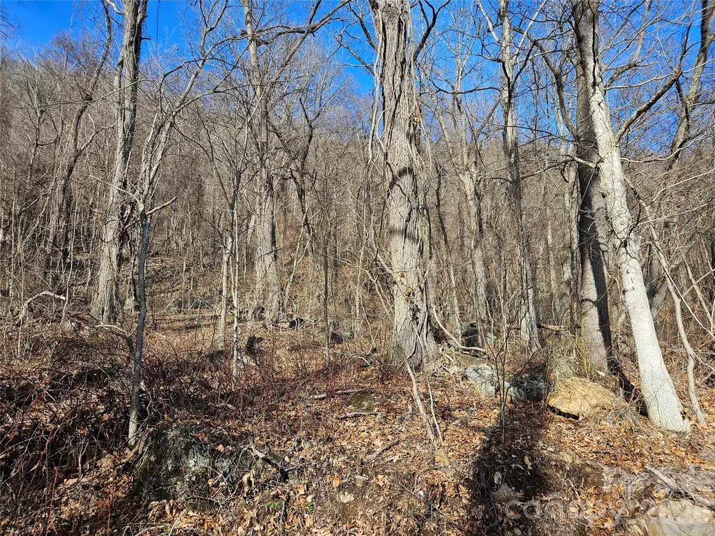 00 High Rock View Drive Canton NC 28716